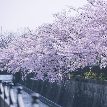 Kamo River J~House 京都市 エクステリア 写真